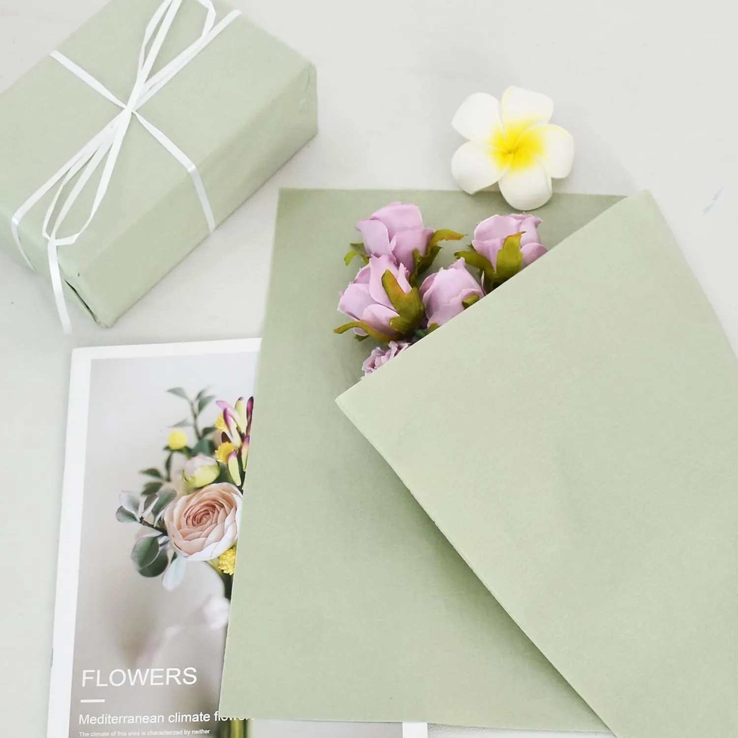 BEISHIDA 100 Sheets Sage Green Tissue Paper Bulk, Wrapping Tissue Paper for Gift Bags, 14 x 20 Inch Gift Wrap for Birthday Wedding Graduation DIY Crafts Holiday Flowers